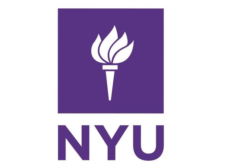 纽约大学